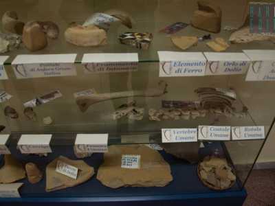 I resti archeologici rinvenuti durante la costruzione della scuola sono esposti all'interno dell'istituto